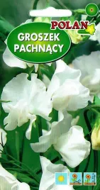 groszek-pachnacy-bialy-3-g-polan
