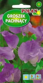 groszek-pachnacy-liliowo-modry-3-g-polan