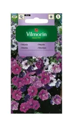 petunia-zwisajaca-mieszanka-01-g-vilmorin