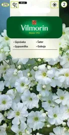 gipsowka-wytworna-biala-5-g-vilmorin