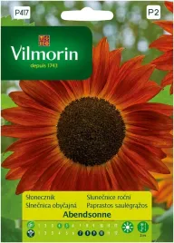 slonecznik-kwiatowy-abendsonne-05-g-vilmorin