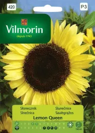 slonecznik-kwiatowy-lemon-queen-05-g-vilmorin