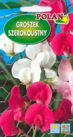 groszek-szerokolistny-mieszany-2-g-polan
