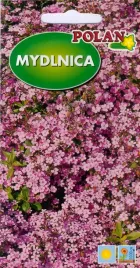 mydlnica-rozowa-1-g-polan