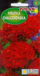 firletka-chalcedonska-czerwona-1-g-polan