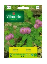 mimoza-wstydliwa-08-g-vilmorin