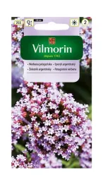 werbena-patagonska-03-g-vilmorin