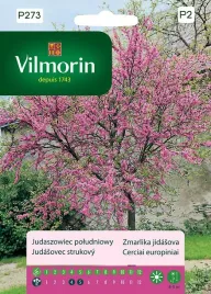 judaszowiec-poludniowy-1-g-vilmorin