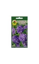 dzwonek-skupiony-fioletowoniebieski-01-g-pnos-ozarow