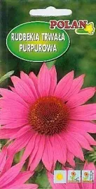 rudbekia-trwala-purpuroworozowa-1-g-polan