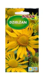 dzielzan-hoopesii-1-g-polan