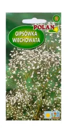 gipsowka-wiechowata-lyszczec-1-g-polan