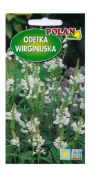 odetka-wirginijska-biala-02-g-polan