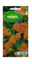 trojesc-pomaranczowa-03-g-polan