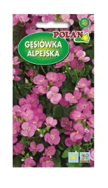 gesiowka-alpejska-rozowa-05-g-polan