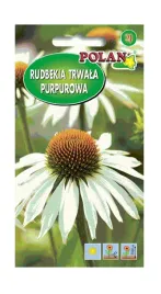 rudbekia-purpurowa-biala-05-g-polan