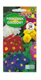 pierwiosnek-ogrodowy-elatior-gigantea-05-g-polan