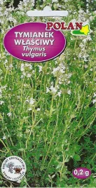 tymianek-wlasciwy-0-1-g-polan