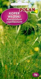 koper-wloski-5-g-polan