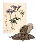 facelia-blekitna-05-kg