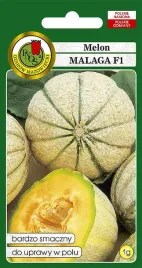 melon-malaga-f1-1-g-pnos