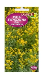 ruta-zwyczajna-05-g-polan