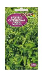 bazylia-cytrynowa-05-g-polan