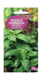bazylia-wlasciwa-1-g-polan
