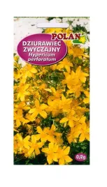 dziurawiec-zwyczajny-02-g-polan