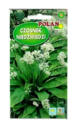czosnek-niedzwiedzi-05-g-polan