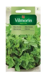 mieta-klosowa-01-g-vilmorin