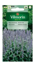 mieta-meksykanska-01-g-vilmorin