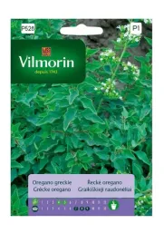 oregano-greckie-01-g-vilmorin