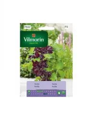 perilla-05-g-vilmorin-shiso-mieta-japonska