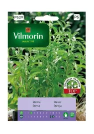 stewia-001-g-vilmorin