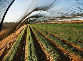 siatka-cieniujaca-zielona-15x10-m-60percent-plantina