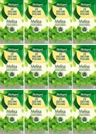 x12-herbapol-zielnik-melisa-20x2g