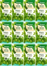 x12-herbapol-zielnik-mieta-20x2g