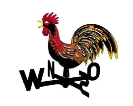 roza-wiatrow-wiatrowskaz-kogut-khayner