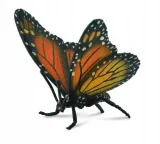 motyl-krolewski-collecta