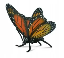 motyl-krolewski-collecta