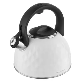 czajnik-nierdzewny-diamante-25-l-bialy-florina-2900