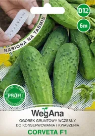 ogorek-corveta-f1-nasiona-profi-na-tasmie-6m
