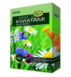 granum-trawa-kwiatami-malowana-1kg-nasiona-mieszanka-traw-i-kwiatow-laka