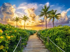 puzzle-3000-ukladanka-krajobraz-widok-plaza-ocean-palmy-miami-9-castor