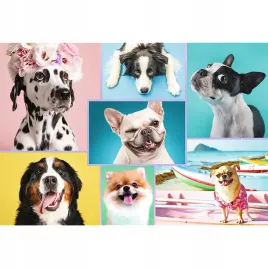 puzzle-1500-ukladanka-kolaz-zwierzeta-pies-psy-pieski-psiaki-12-trefl