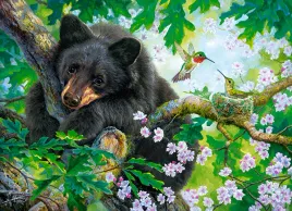 puzzle-200-ukladanka-zwierzeta-niedzwiedz-ptaki-kwiaty-koliber-7-castor