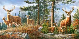 puzzle-4000-ukladanka-widok-obraz-zwierzeta-rodzina-jelenie-las-9-castor