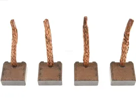 as-pl-szczotka-rozrusznika-szczotka-rozrusznika-szczotki-rozrusznika