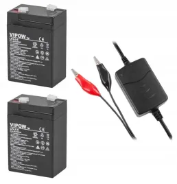 zestaw-do-autka-2x-akumulator-6v-45ah-ladowarka